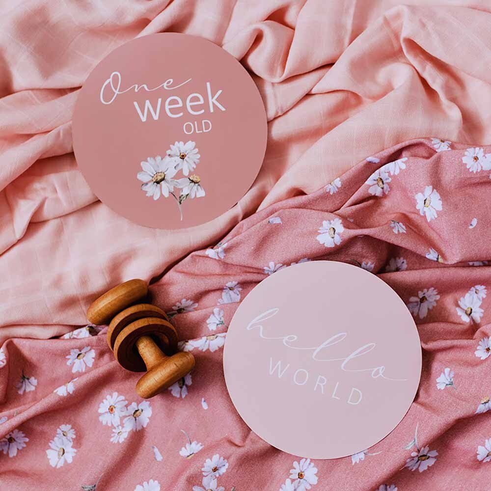 Daisy & Musk Pink Reversible Milestone Cards - Image 5