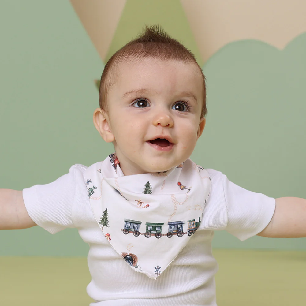 Trains Organic Dribble Bib
